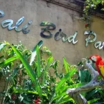 Bali Bird Park, Dive into the World of Exotic Birds from Around the World in Gianyar