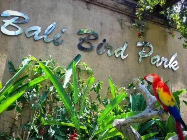 Bali Bird Park, Dive into the World of Exotic Birds from Around the World in Gianyar