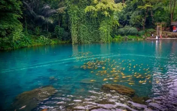 Cipanten Lake, Natural Tourism Offering a Lake with 7 Springs in Majalengka
